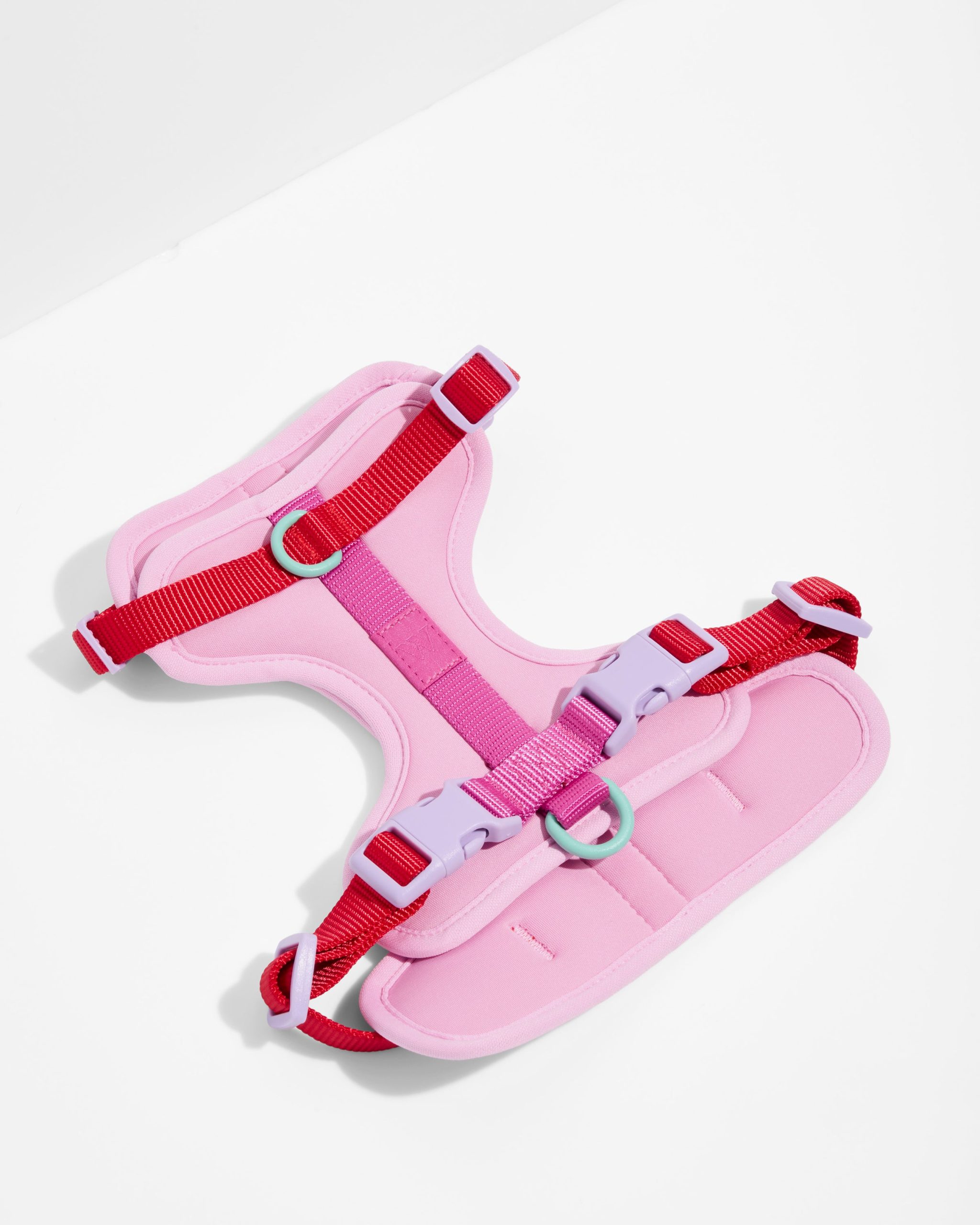 Cushioned Dog Harness - Image 7