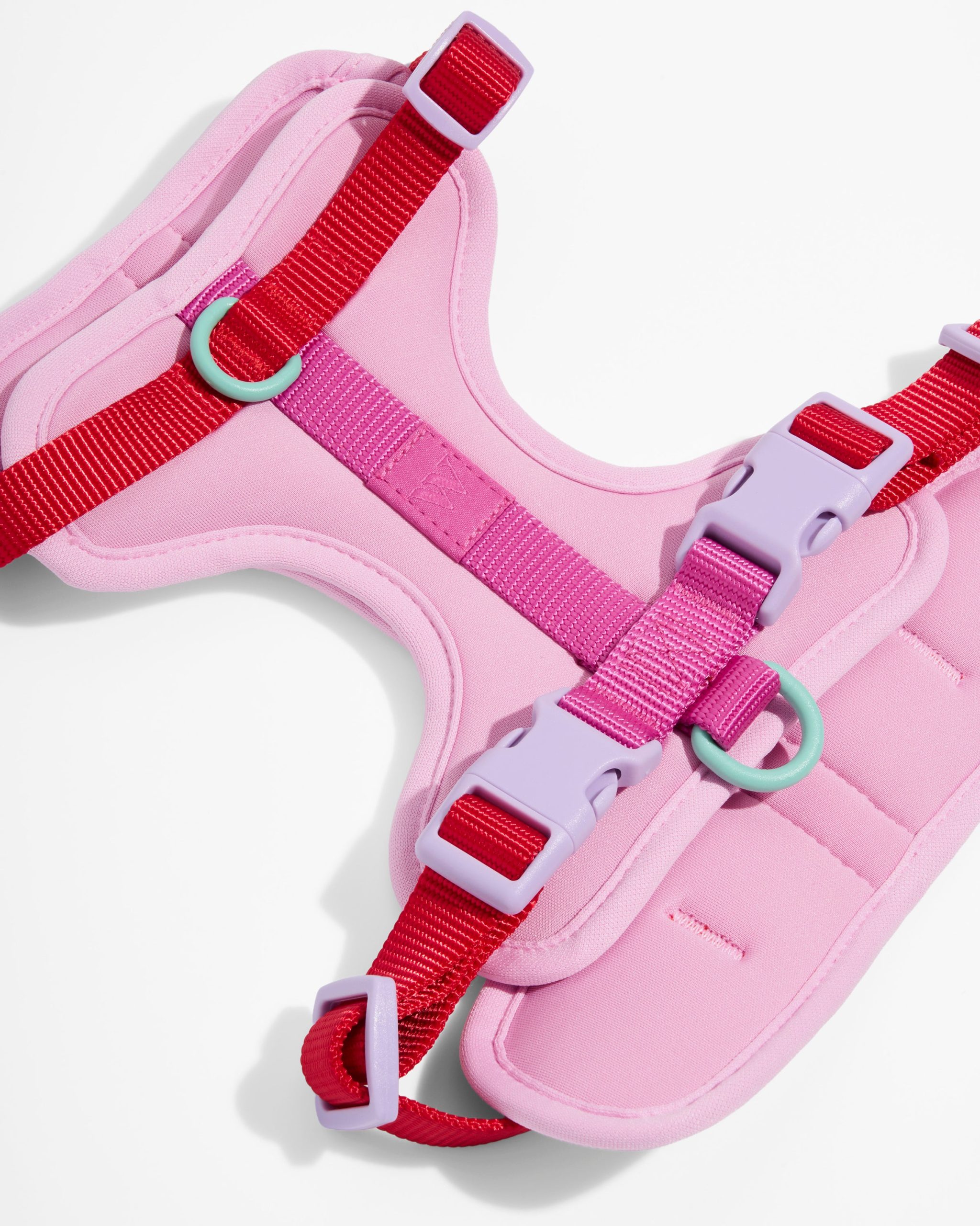 Cushioned Dog Harness - Image 11