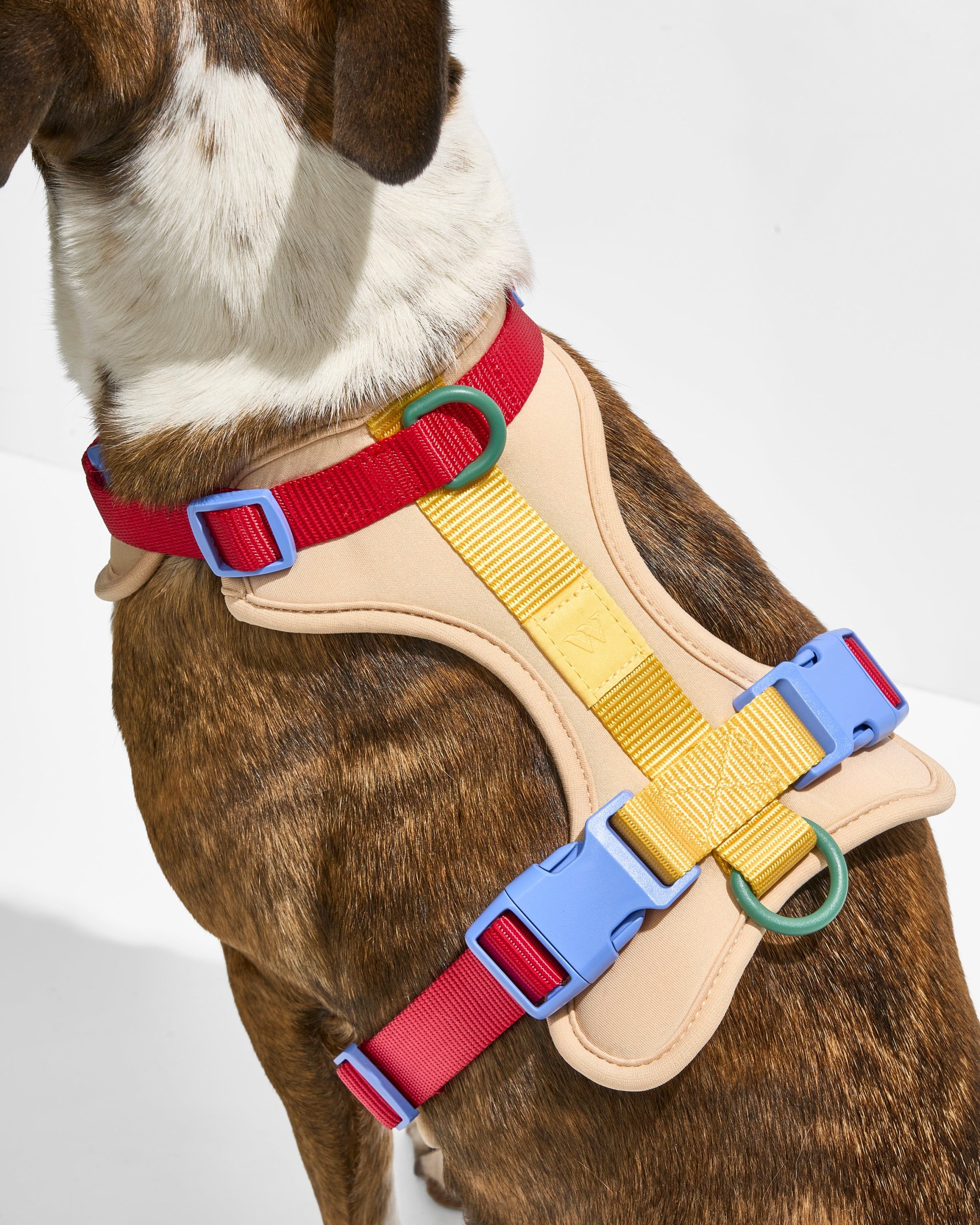 Cushioned Dog Harness - Image 13