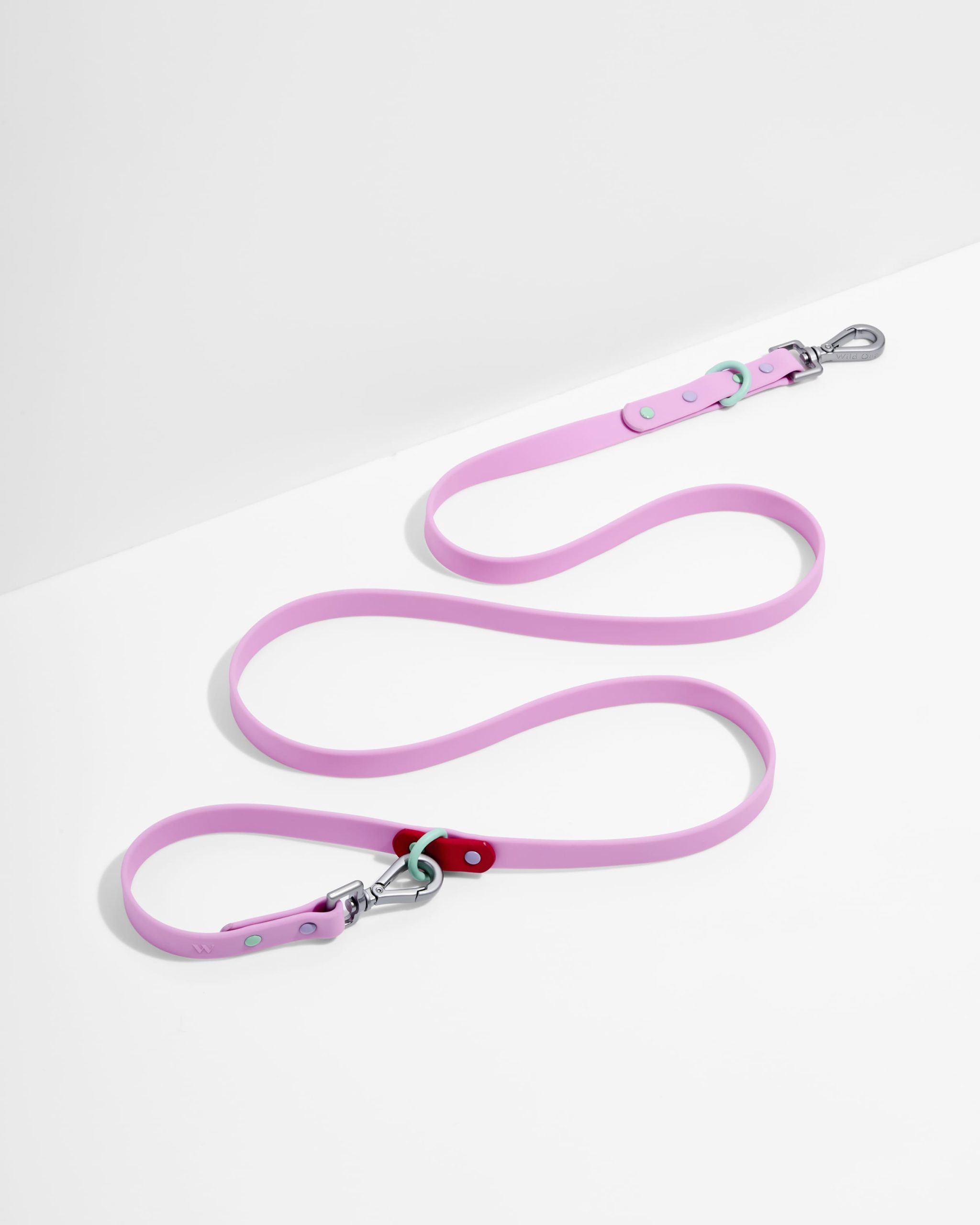 Waterproof Dog Leash - Image 3