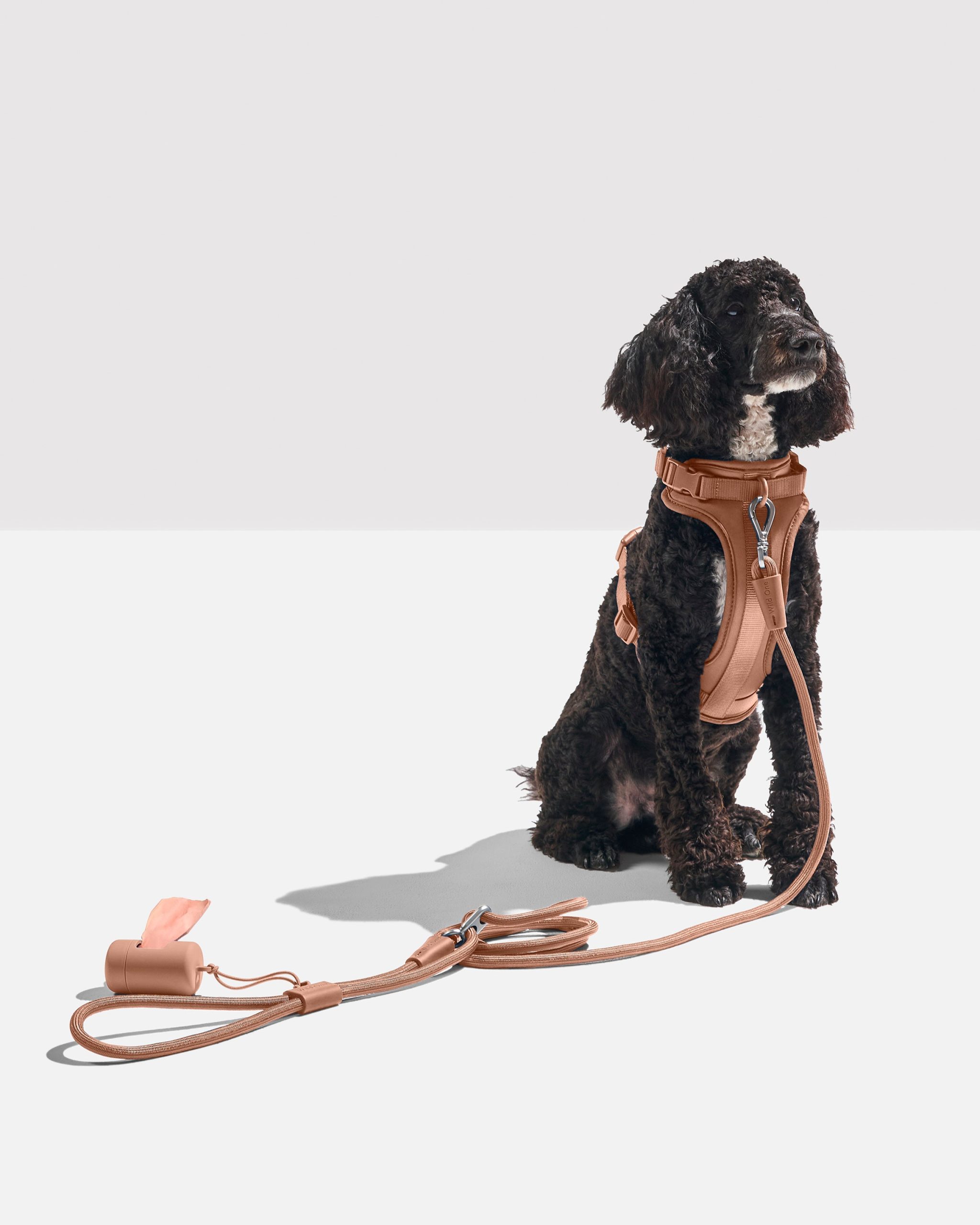 Hands-Free Rope Dog Leash - Image 27
