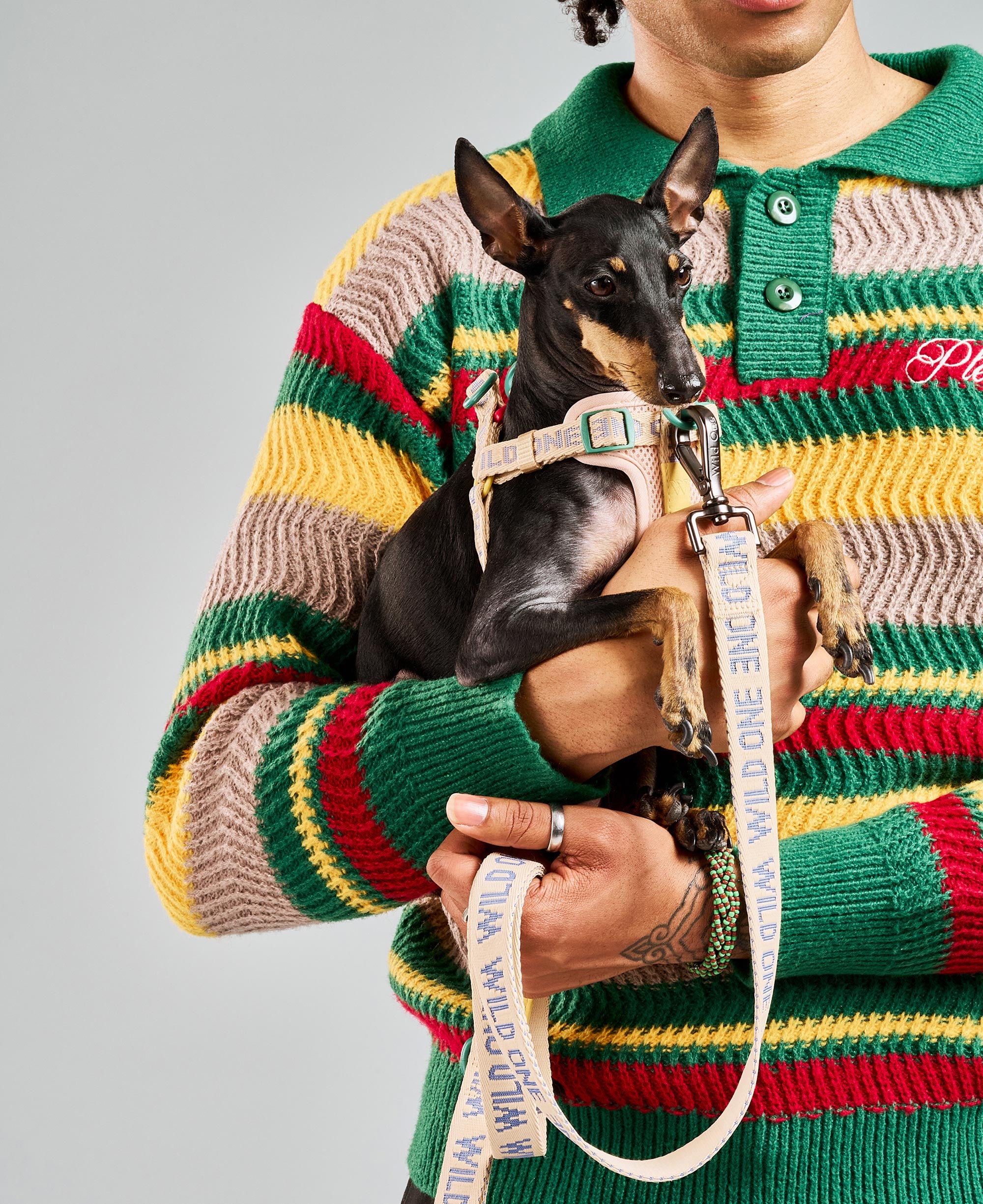 Step-In Dog Harness - Image 9