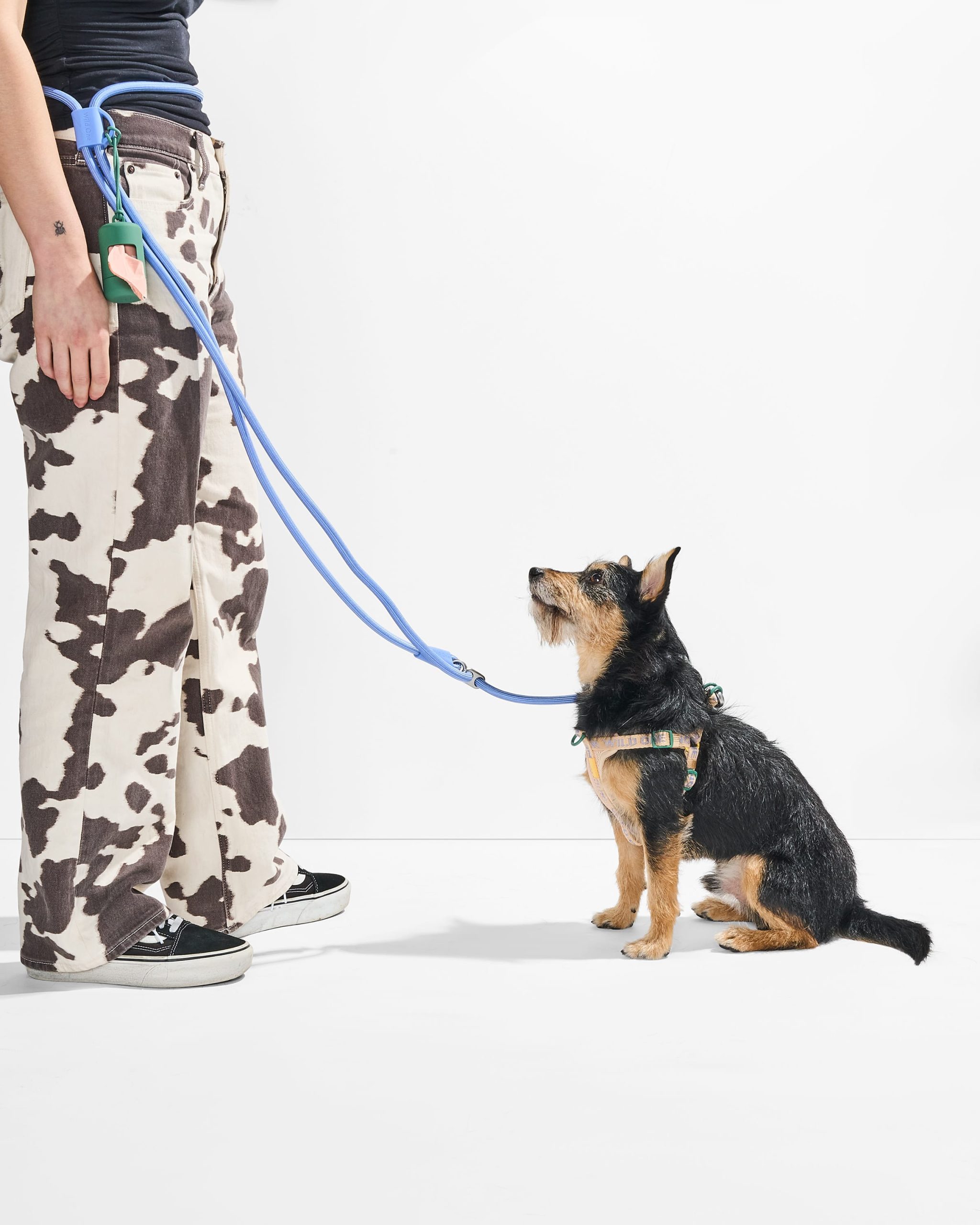 Step-In Harness + Hands-Free Rope Leash Walk Kit - Image 5