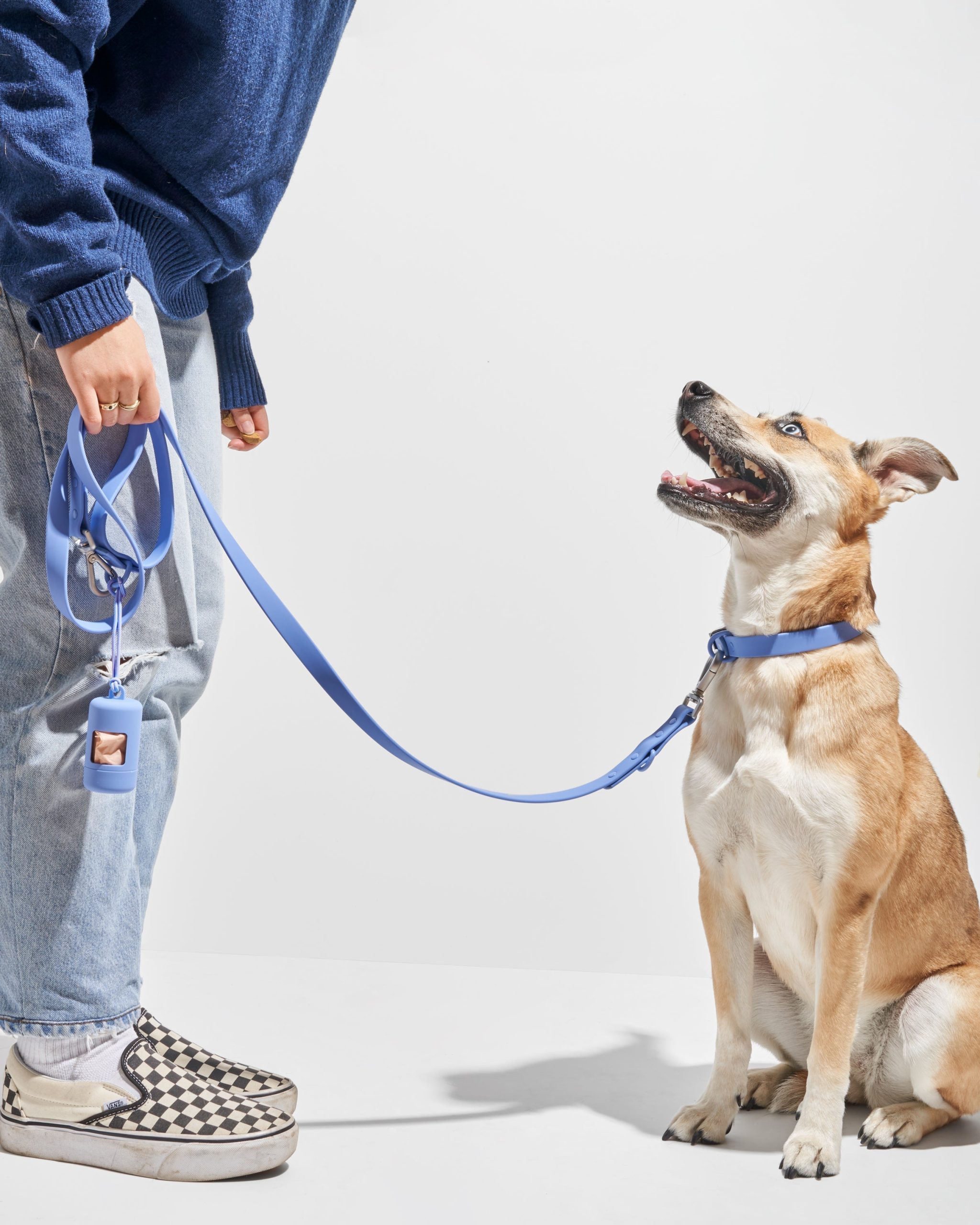 Waterproof Dog Collar - Image 25