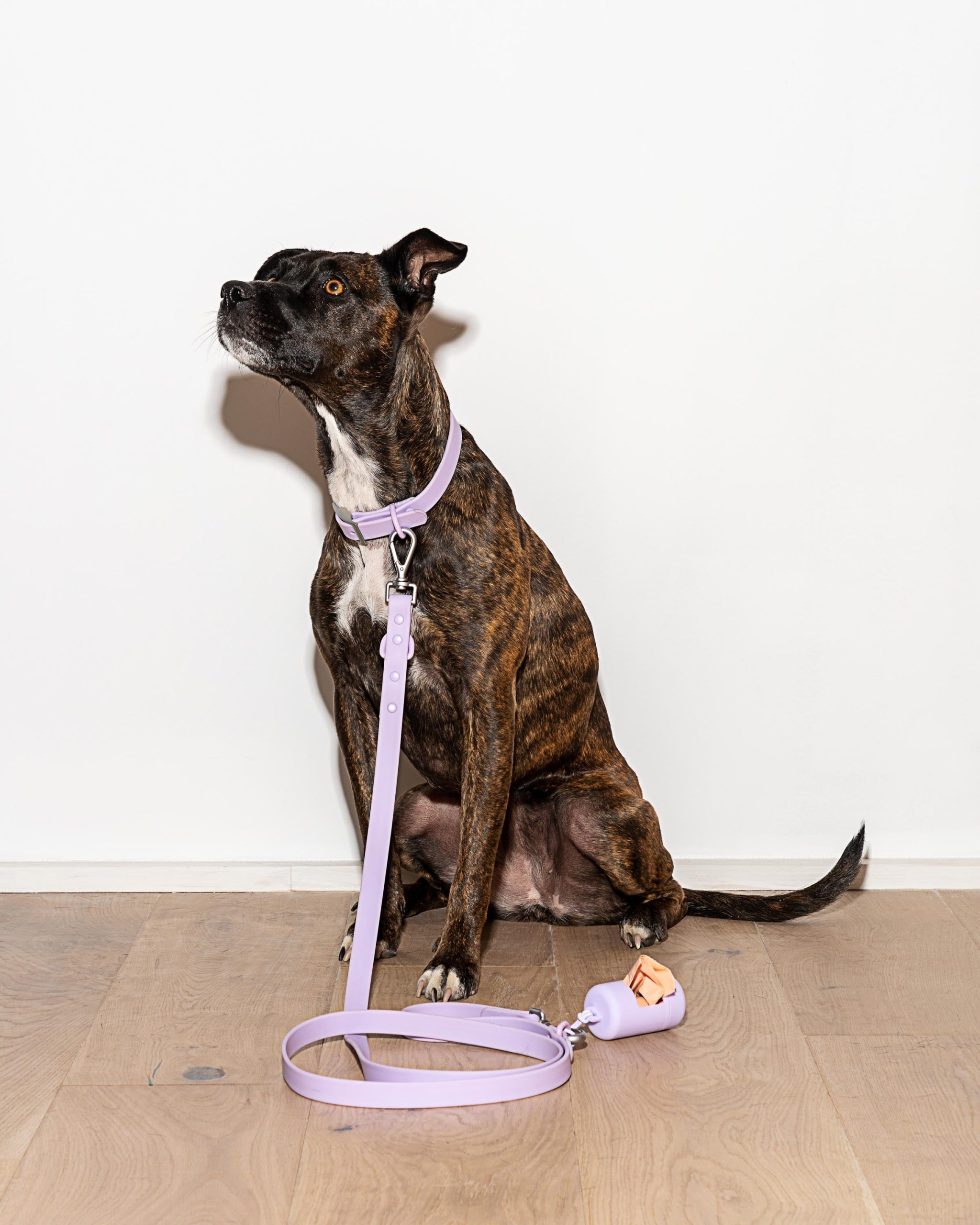 Waterproof Dog Leash - Image 8