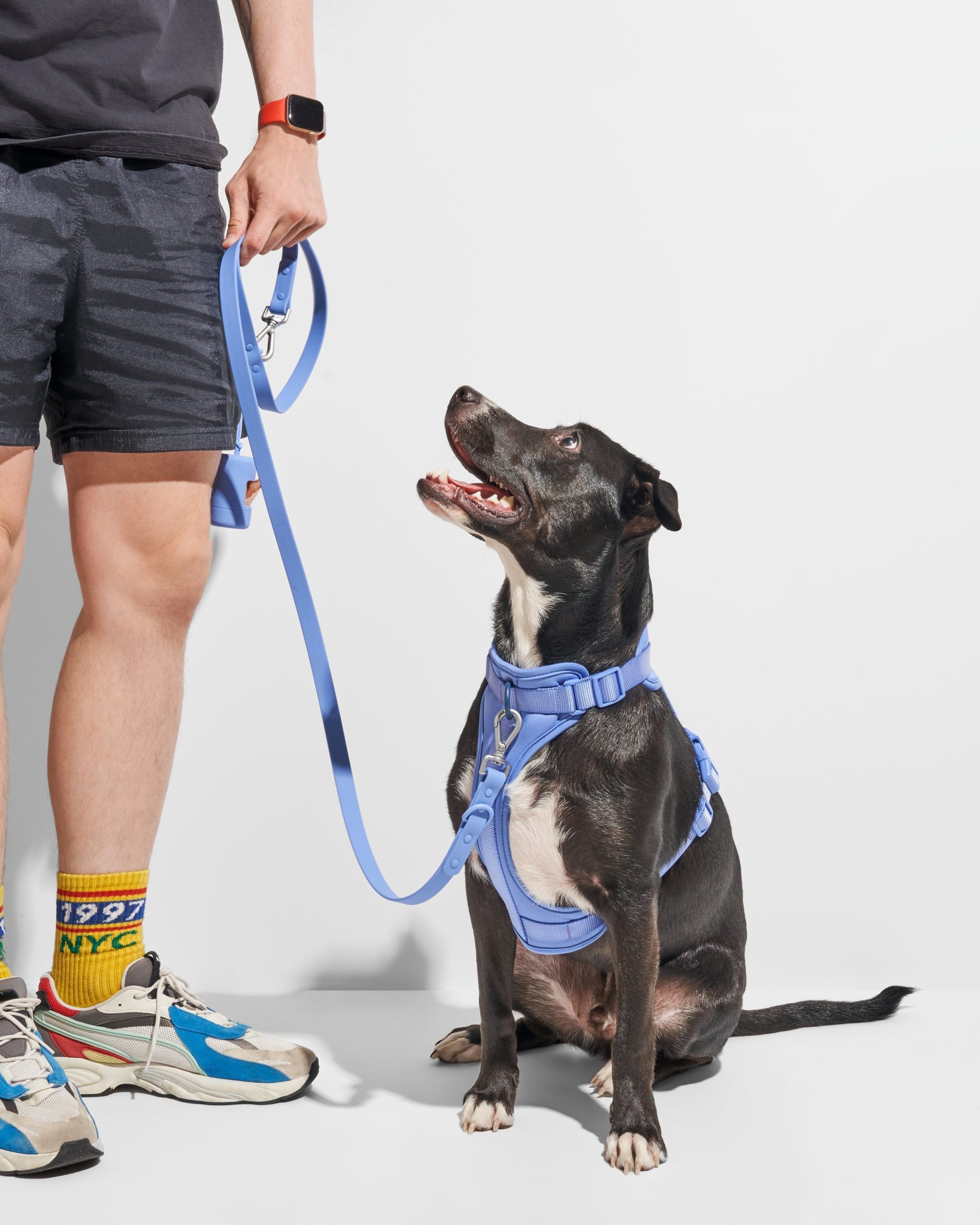 Waterproof Dog Leash - Image 24