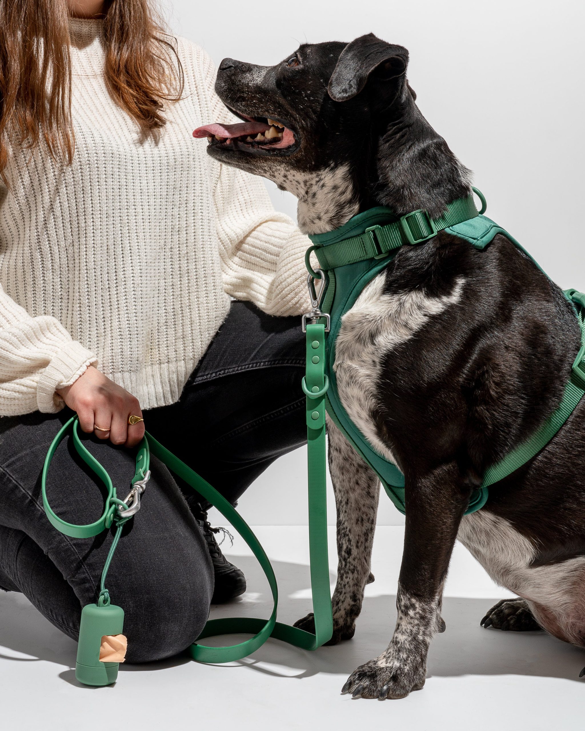 Cushioned Dog Harness - Image 19