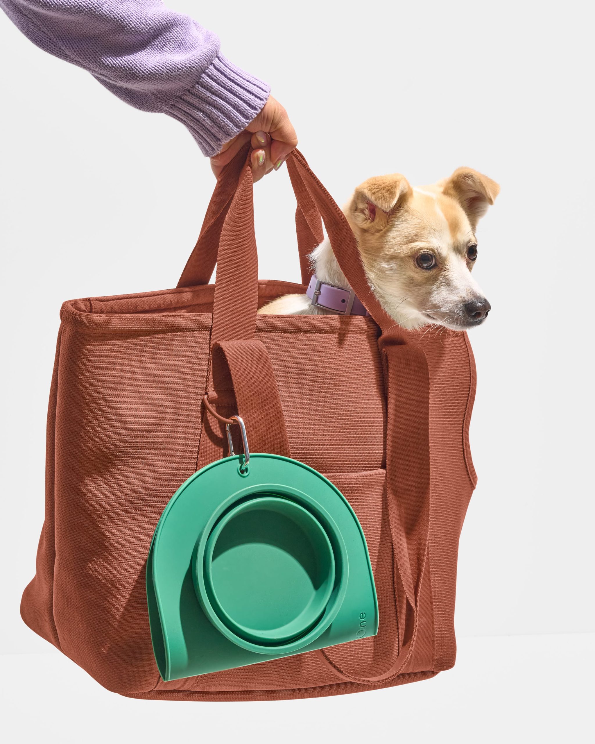 Travel Bowl Duo - Image 5