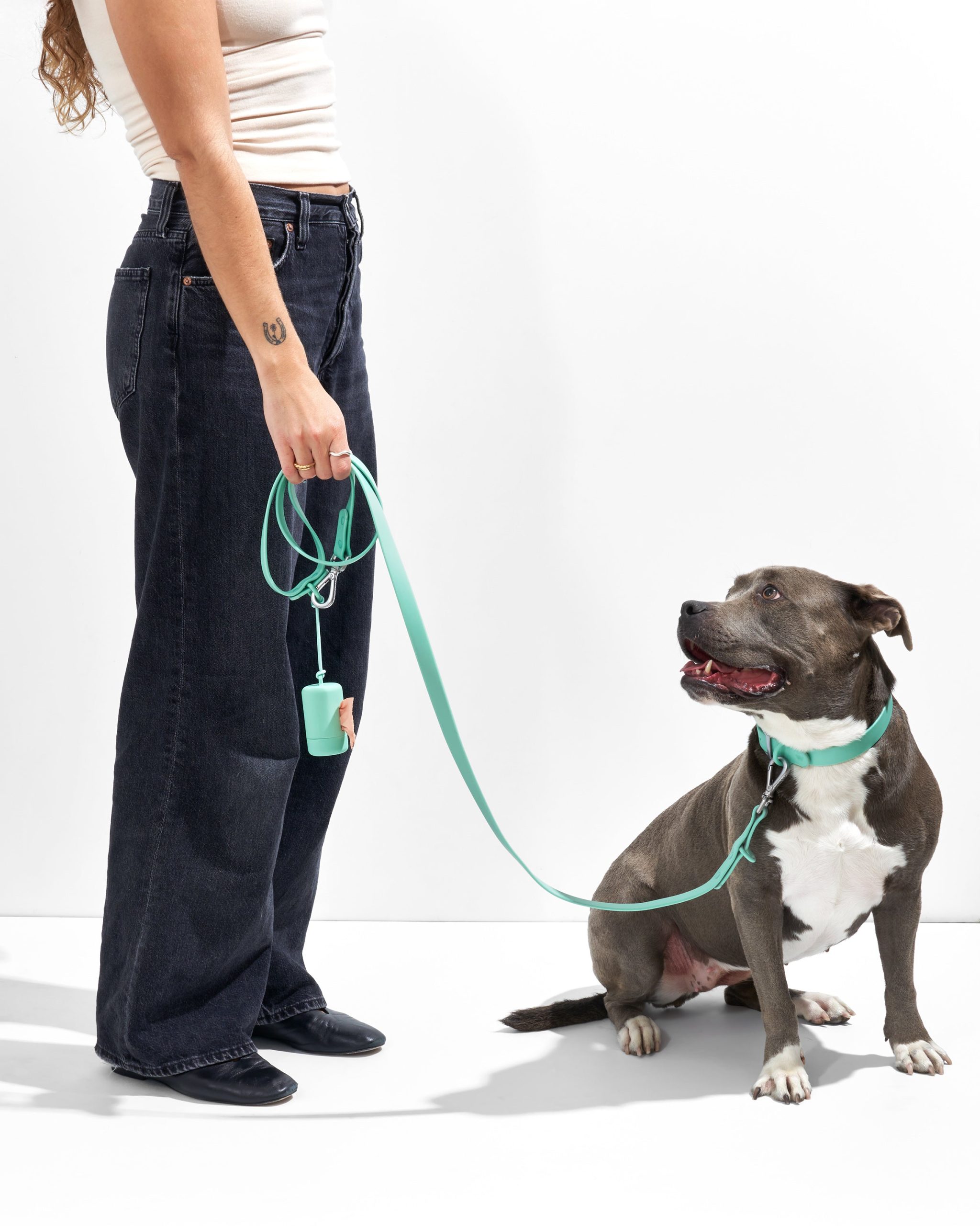 Waterproof Dog Leash - Image 10