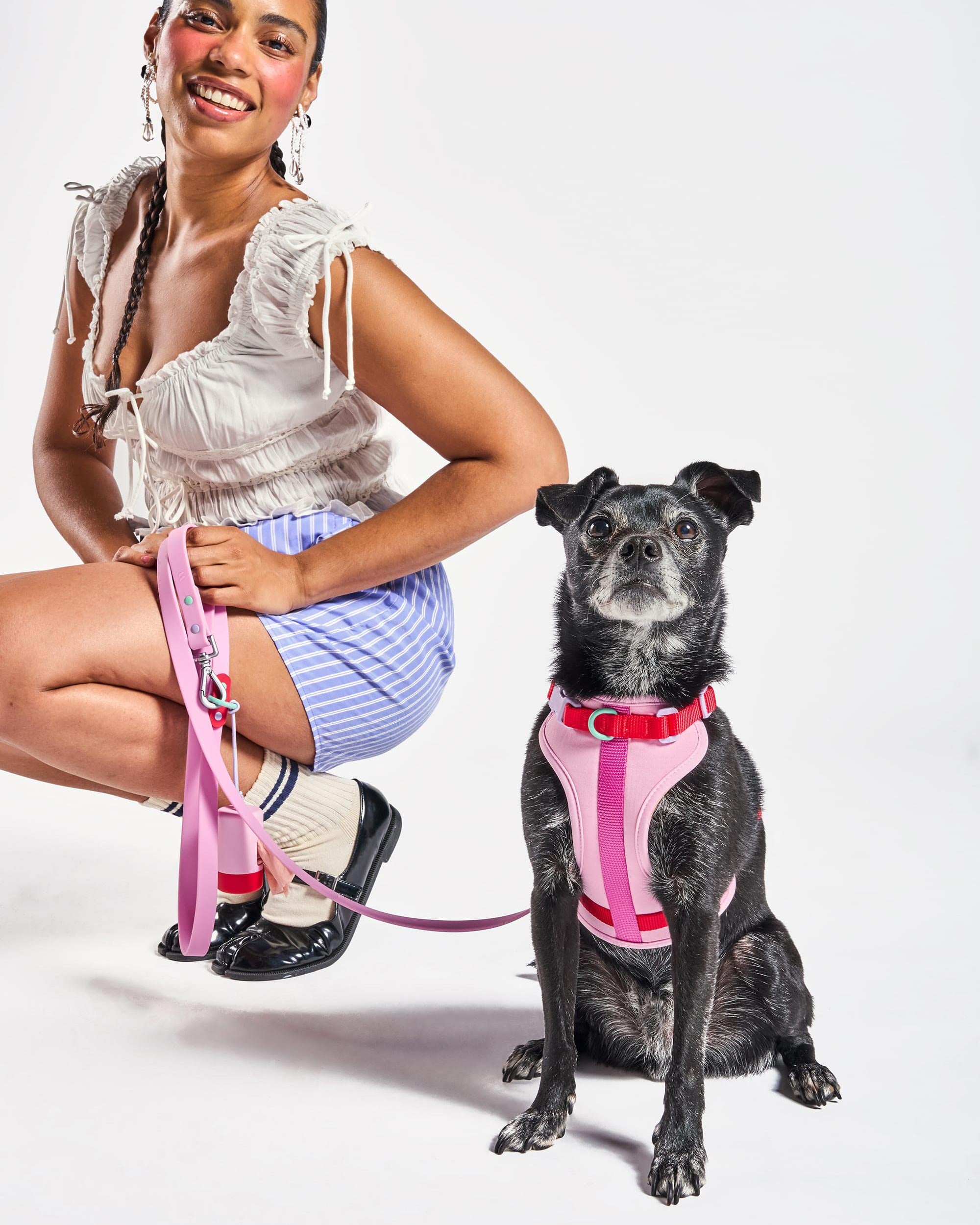 Cushioned Dog Harness - Image 10