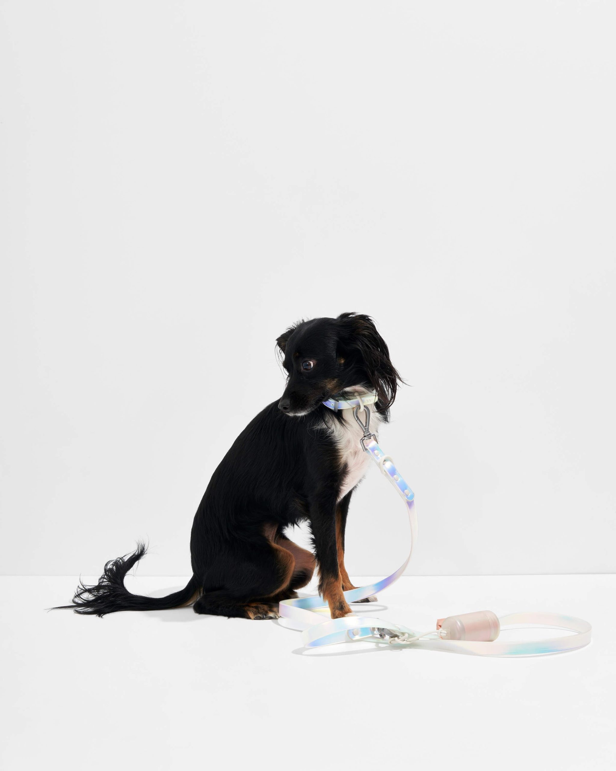 Waterproof Dog Leash - Image 14