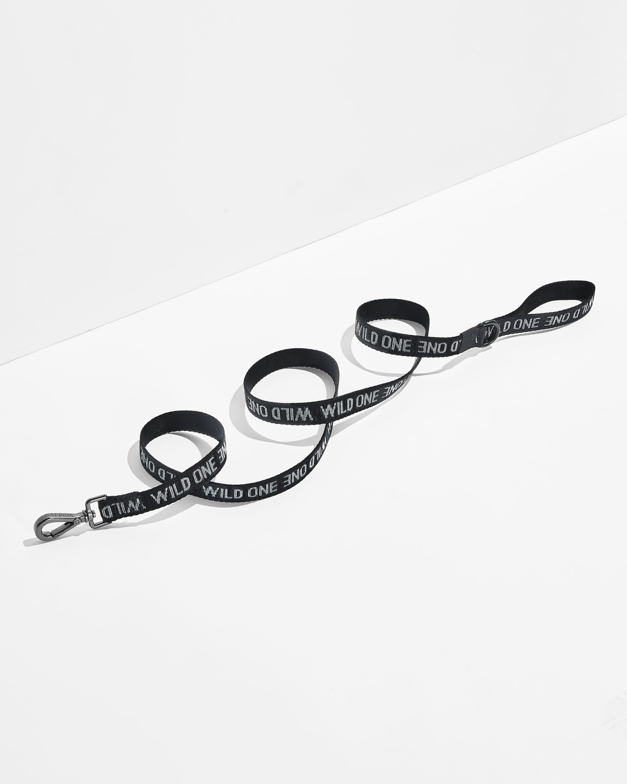 Cushioned Harness + Lightweight Leash Walk Kit - Image 5