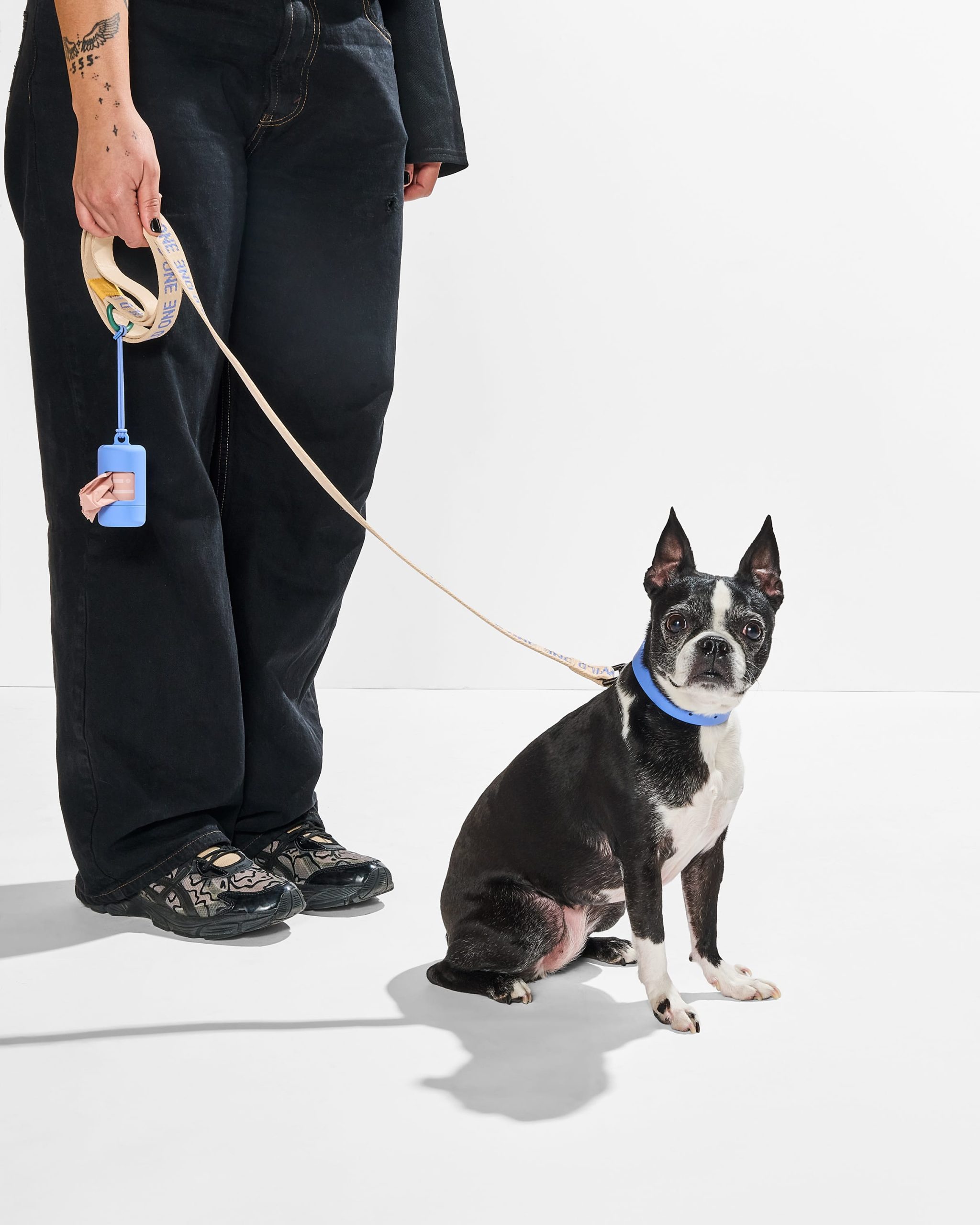 Waterproof Collar + Lightweight Leash Walk Kit - Image 4